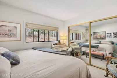 1325 Vine Street, Aspen, CO 81611 - Photo 8