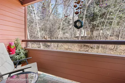 1325 Vine Street, Aspen, CO 81611 - Photo 12