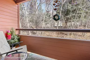 1325 Vine St, Aspen, CO 81611 - Photo 12