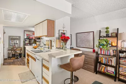 1325 Vine Street, Aspen, CO 81611 - Photo 4