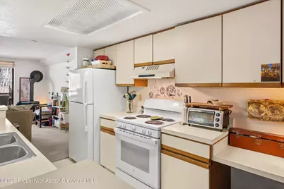 1325 Vine Street, Aspen, CO 81611 - Photo 6