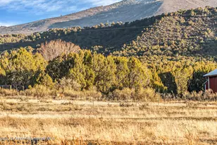 201 Dj Rd, Parachute, CO 81635 - Photo 82