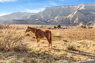 201 Dj Rd, Parachute, CO 81635 - Photo 68