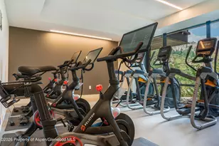 77 Wood Rd, Snowmass Village, CO 81615 - Photo 14