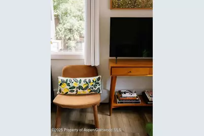 333 W Main Street #B2, Aspen, CO 81611 - Photo 6