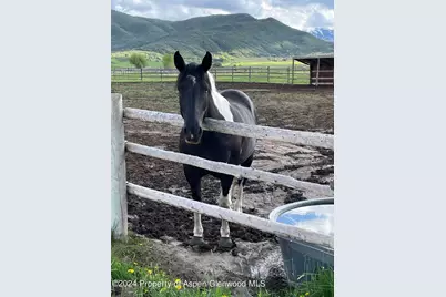 000 Lazy O Road Lot #4, Snowmass, CO 81654 - Photo 14