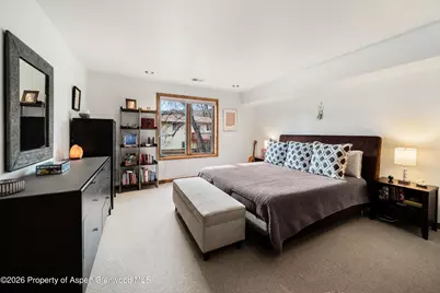 1460 Main Street, Carbondale, CO 81623 - Photo 8