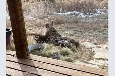 5792 County Road 309, Parachute, CO 81635 - Photo 36