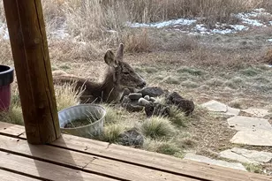 5792 Co Rd 309, Parachute, CO 81635 - Photo 36