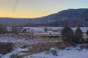 5792 Co Rd 309, Parachute, CO 81635 - Photo 44