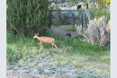 5792 County Road 309, Parachute, CO 81635 - Photo 42
