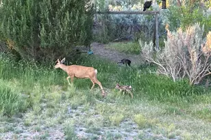 5792 Co Rd 309, Parachute, CO 81635 - Photo 42