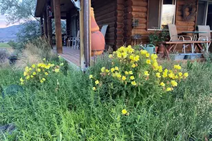 5792 Co Rd 309, Parachute, CO 81635 - Photo 32