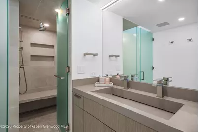 1001 E Cooper Avenue #1, Aspen, CO 81611 - Photo 12