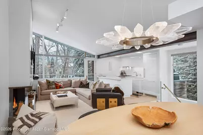 1001 E Cooper Avenue #1, Aspen, CO 81611 - Photo 6