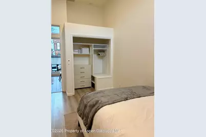 426 E Hyman, Aspen, CO 81611 - Photo 10