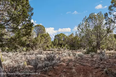 3376 Elk Springs Drive, Glenwood Springs, CO 81601 - Photo 6