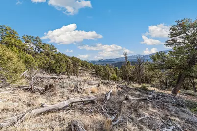 3376 Elk Springs Drive, Glenwood Springs, CO 81601 - Photo 18