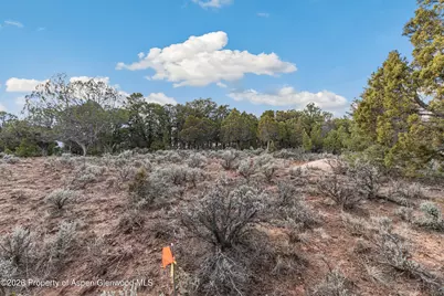 3376 Elk Springs Drive, Glenwood Springs, CO 81601 - Photo 4