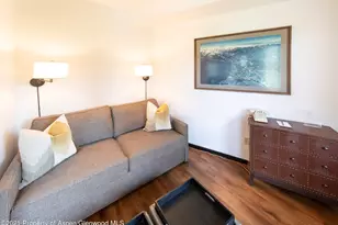 425 Wood Run Rd, Snowmass Village, CO 81615 - Photo 10