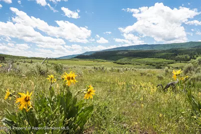 Tbd County Road 117, Glenwood Springs, CO 81601 - Photo 42