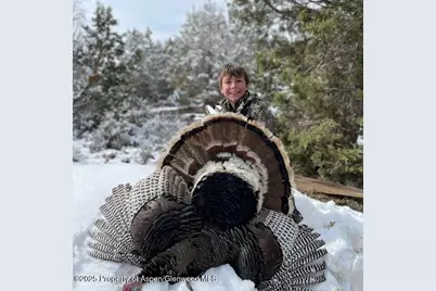 Tbd County Road 117, Glenwood Springs, CO 81601 - Photo 66