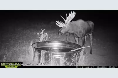 Tbd County Road 117, Glenwood Springs, CO 81601 - Photo 72