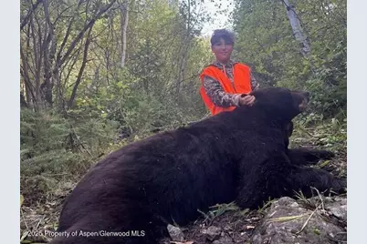 Tbd County Road 117, Glenwood Springs, CO 81601 - Photo 64