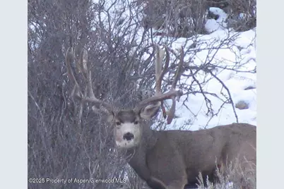 Tbd County Road 117, Glenwood Springs, CO 81601 - Photo 54