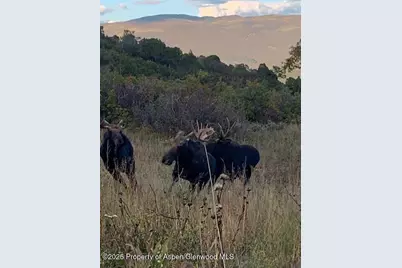 Tbd County Road 117, Glenwood Springs, CO 81601 - Photo 60