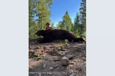 Tbd County Road 117, Glenwood Springs, CO 81601 - Photo 52