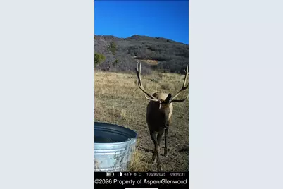 Tbd County Road 117, Glenwood Springs, CO 81601 - Photo 74