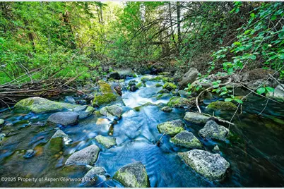 Tbd County Road 117, Glenwood Springs, CO 81601 - Photo 18