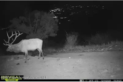 Tbd County Road 117, Glenwood Springs, CO 81601 - Photo 76