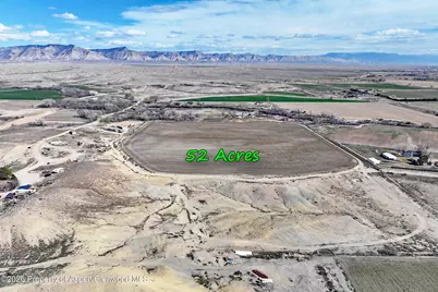 1537 19 Road, Fruita, CO 81521 - Photo 4