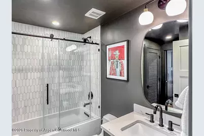 803 E Durant Avenue #8, Aspen, CO 81611 - Photo 20