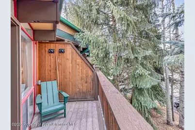 803 E Durant Avenue #8, Aspen, CO 81611 - Photo 24