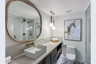 803 E Durant Avenue #8, Aspen, CO 81611 - Photo 16