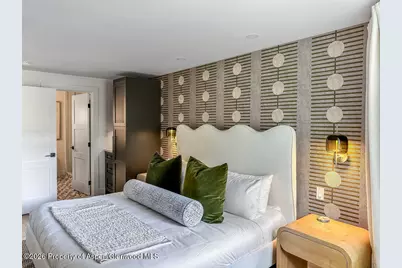 803 E Durant Avenue #8, Aspen, CO 81611 - Photo 14