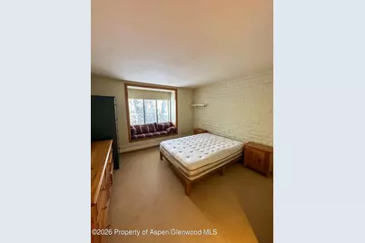 212 Vine Street #212, Aspen, CO 81611 - Photo 10