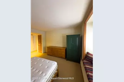 212 Vine Street #212, Aspen, CO 81611 - Photo 8