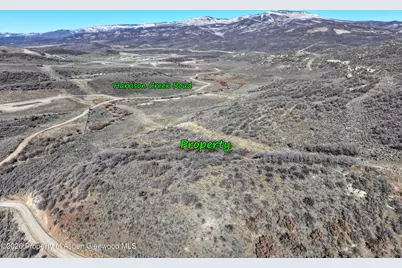 Tbd Harrison Gulch Road, Collbran, CO 81624 - Photo 4