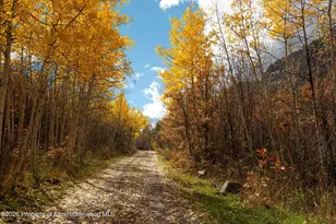 700 Dorais Way, Redstone, CO 81623 - Photo 38