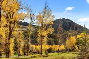 700 Dorais Way, Redstone, CO 81623 - Photo 40