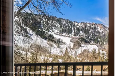 901 E Hyman Avenue #11, Aspen, CO 81611 - Photo 12