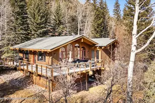 372 Crystal Park Dr, Redstone, CO 81623 - Photo 6