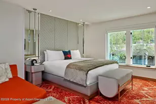 550 S Spring St, Aspen, CO 81611 - Photo 4