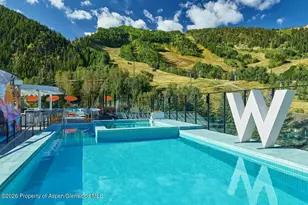 550 S Spring St, Aspen, CO 81611 - Photo 8