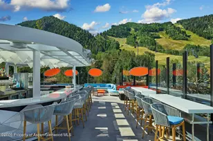 550 S Spring St, Aspen, CO 81611 - Photo 10