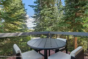 32 Elk Ridge Ln, Snowmass Village, CO 81615 - Photo 54